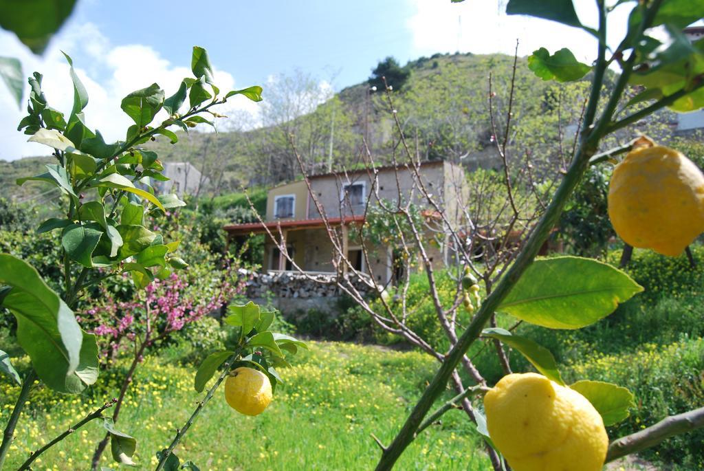 Al Melograno B&B Belmonte Calabro Bilik gambar