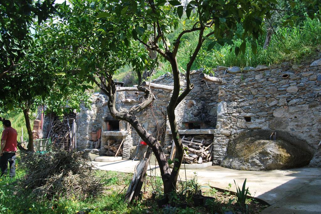 Al Melograno B&B Belmonte Calabro Bilik gambar