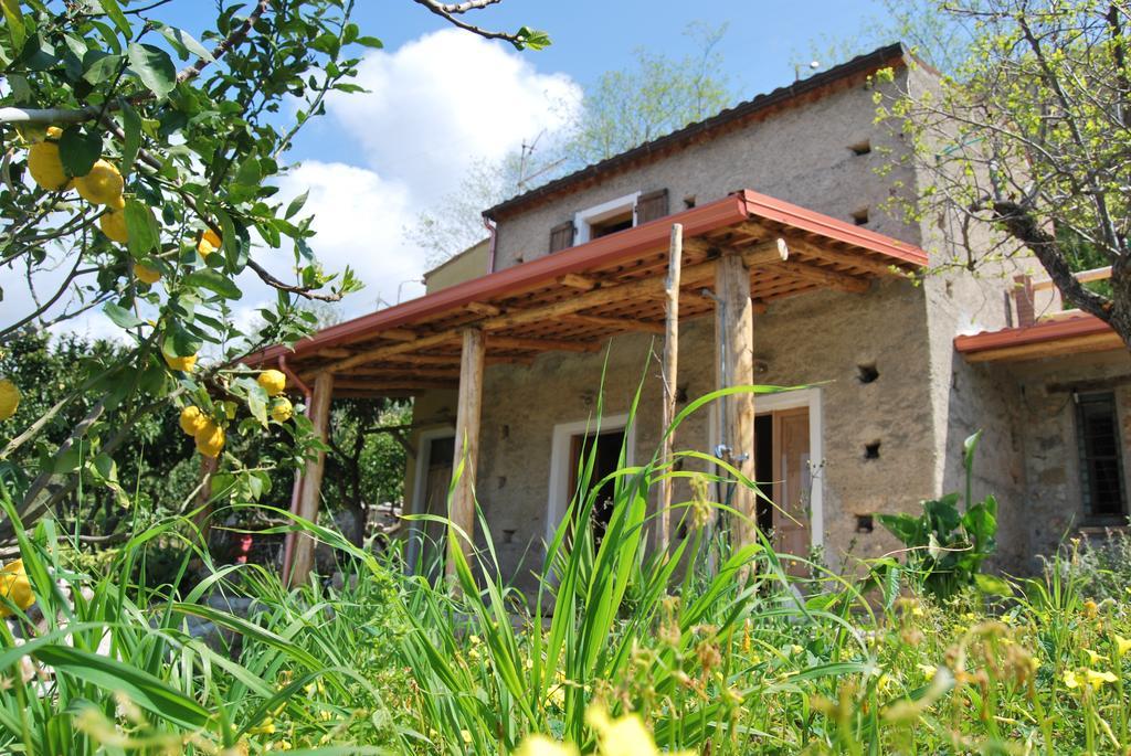 Al Melograno B&B Belmonte Calabro Luaran gambar
