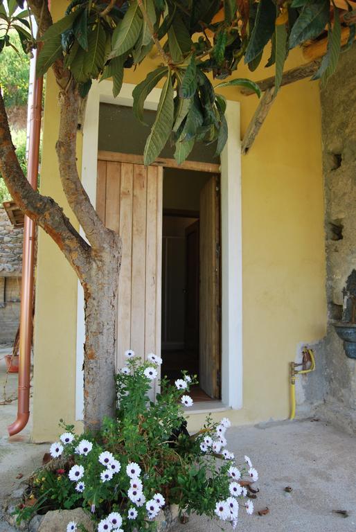 Al Melograno B&B Belmonte Calabro Luaran gambar