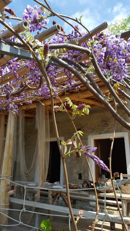 Al Melograno B&B Belmonte Calabro Luaran gambar